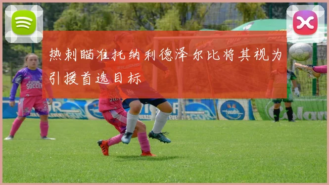 热刺瞄准托纳利德泽尔比将其视为引援首选目标